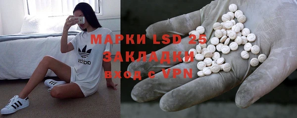 индика Александровское