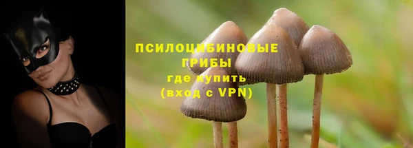 винт Зеленокумск