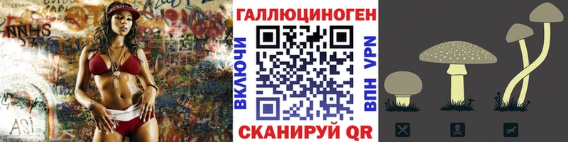 Галлюциногенные грибы прущие грибы  Сельцо 